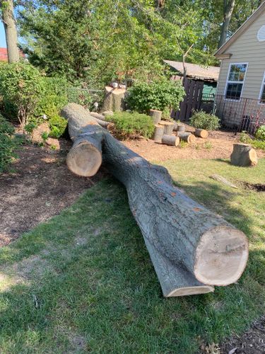 Tree Removal for Down To Earth Tree Service, LLC in Olmsted Falls, OH