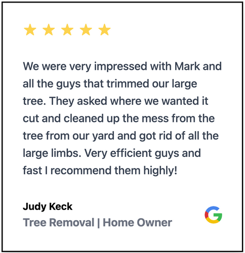  for Marks Tree Service in Fort Worth, TX