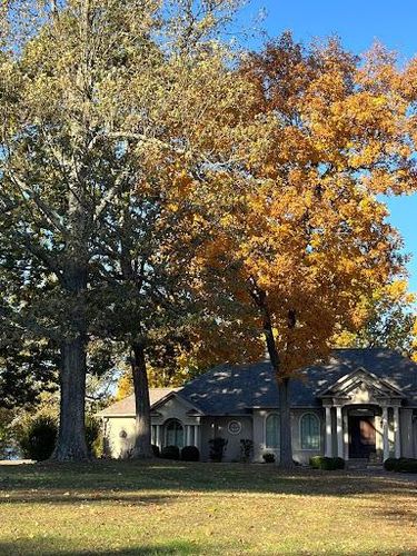  for Curtis Tree Service LLC in Hopkins County, KY