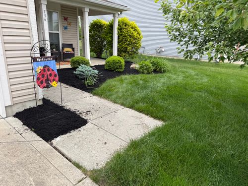  for Bearforce Lawn Care LLC in Greenfield, IN
