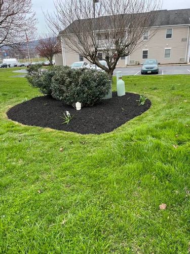 All Photos for Young’s lawns & landscapes in Thurmont, MD