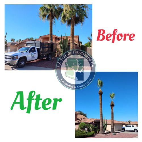  for AZ Tree & Hardscape Co in Surprise, AZ