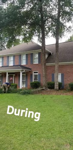  for DNA Tree Service in Birmingham, AL