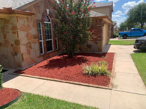  for Scalpel Lawn Service in Temple, TX