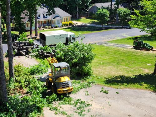  for Owens Tree Services in Inman, SC