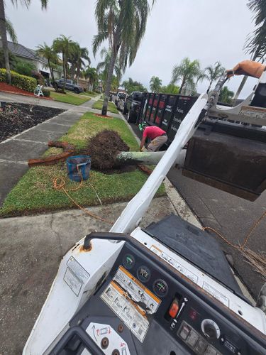 Stump Grinding for TREE BOYS in Ruskin, FL
