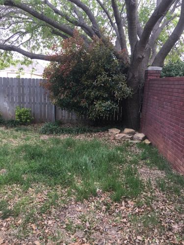 Landscaping Renovations for Elite Horizons in Abilene, TX