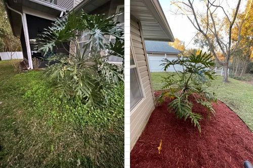 Mulch Installation for K & A Landscaping, Inc. in Jacksonville, FL