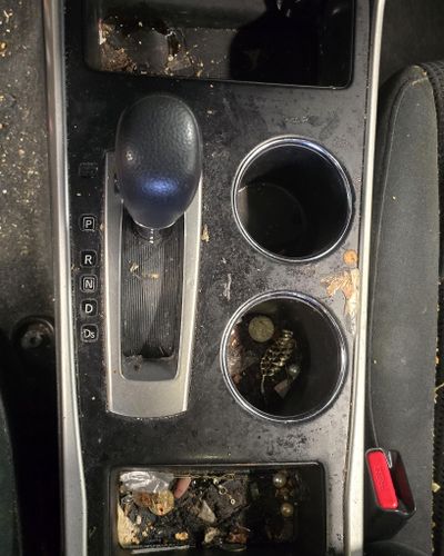 Full Detail Service for Luxury Auto Detail in Peoria, IL