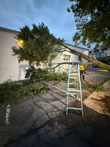  for Jonathan A. Henne Property Services. in Hamburg, PA