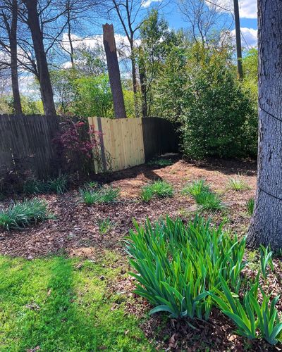  for Kingdom Tree Cuts in Birmingham, AL