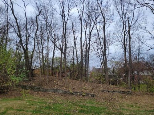  for Kingdom Tree Trimming and Removal LLC in Covington, KY