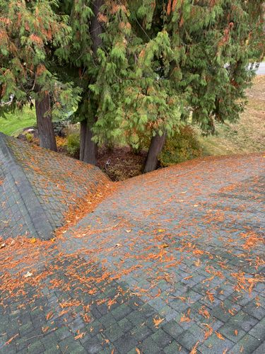 All Photos for Swift Serve in Coeur d'Alene, ID