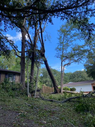 All Photos for DuBose Outdoor Services in Sumter, SC