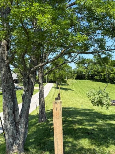  for HAM Fencing in Carlisle, KY