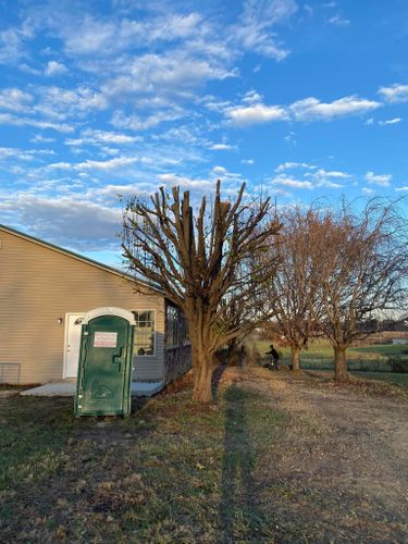 Fall and Spring Clean Up for Atwood’s Tree Care in Liberty,  KY