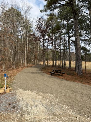  for Collins Constructors in Fyffe, AL