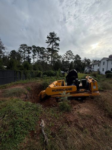 Stump Excavation for Dozier Stump Grinding in Augusta, GA