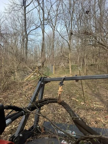 Land Clearing for Barkers Outdoor Services in Hamilton, OH