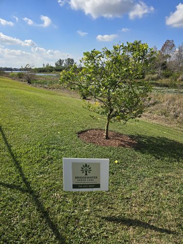 All Photos for Bridgewater Arbor Care LLC in Jupiter, FL