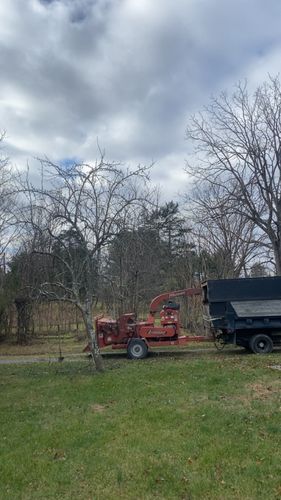All Photos for Gray's Tree Service Inc in Maurertown, VA