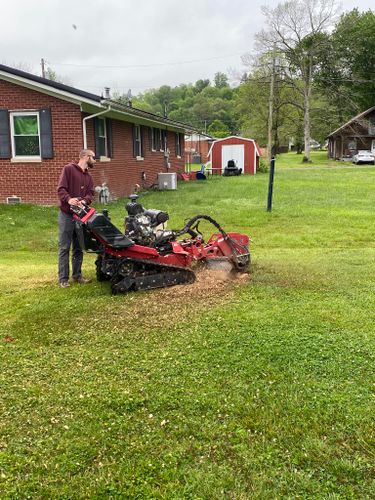 Fall and Spring Clean Up for Atwood’s Tree Care in Liberty,  KY