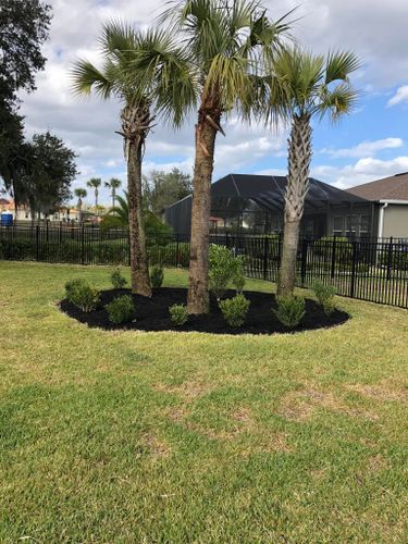 Mulch Installation for MJK Landscaping LLC in Wesley Chapel, FL