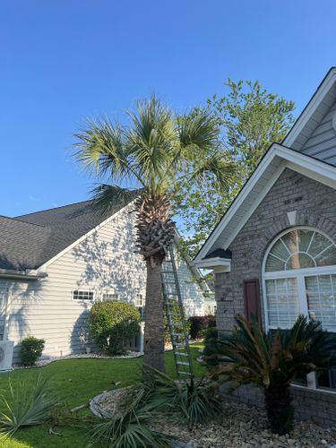 All Photos for New Creation Landscaping in Myrtle Beach, SC