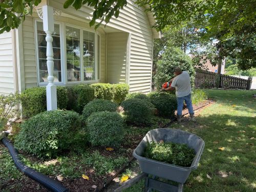 Shrub Trimming for Delta Outdoors and Landscaping in Cooter, MO