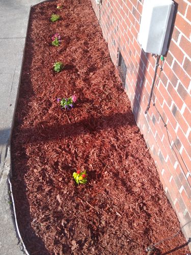 All Photos for Voilà Magic LawnCare Services in Jacksonville, NC