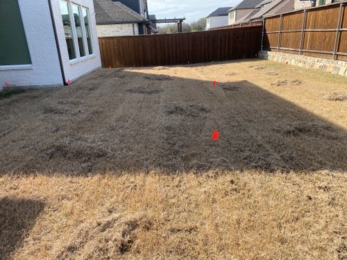 Dethatching for North Texas Groundscaping in Frisco, TX