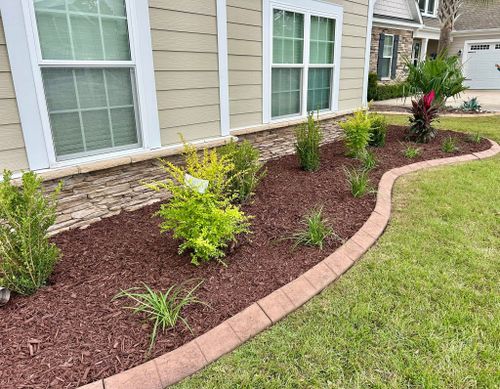 All Photos for New Creation Landscaping in Myrtle Beach, SC