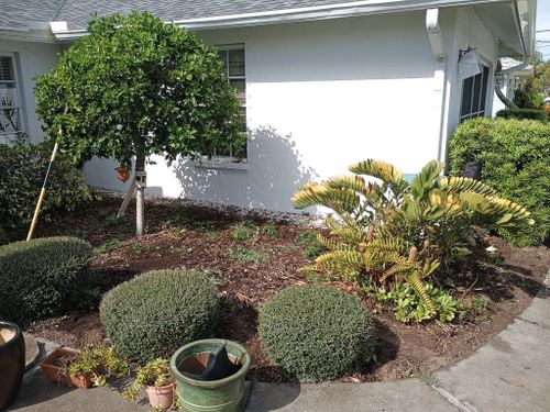 Flowerbed Installation and Maintenance for Unity Maintenance and More LLC in Englewood, FL