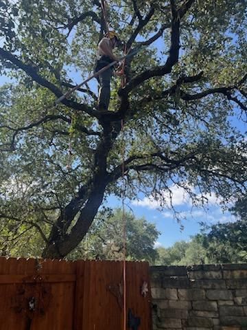  for Camerons Stump Grinding & Tree Services LLC in Austin, TX