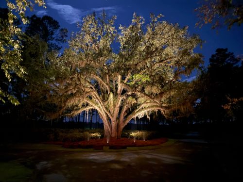 Landscape Design for Thomasville Lawn Care in Thomasville, GA