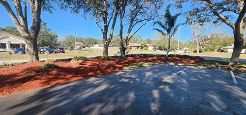 All Photos for Gratsch Landscaping and Tree Trimming llc in Spring Hill, Florida