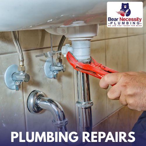 Pipe Installation and Repairs for Bear Necessity Plumbing in Longs, SC