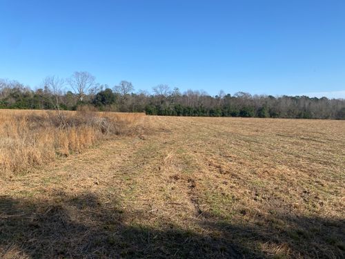 Bush Hogging for T&S Land Management Services in Effingham County, GA