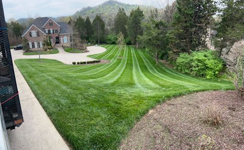 Other Lawn Services for Russell's Lawn Care Plus in Nashville, TN