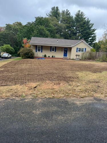 Stump Removal for Jills Stump Grinding and Firewood in Shelton, CT