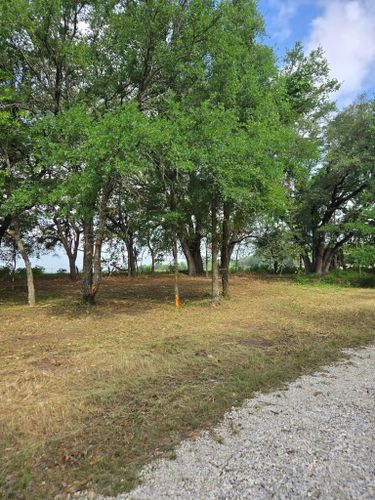 Residential Lawn Care for Philipp Property Solutions, LLC in Valley Mills, TX