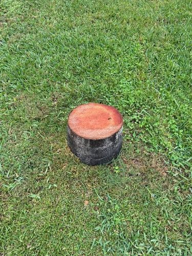  for KB’s Stump Removal in Pinellas county, FL
