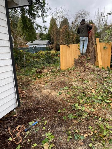 Shrub Trimming for Juan Esteban Landscape service LLC  in Bonney Lake, WA