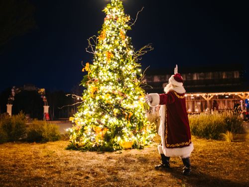  for Holiday Lighting Solutions in Huntsville, AL