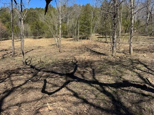 Land Clearing for Barkers Outdoor Services in Hamilton, OH