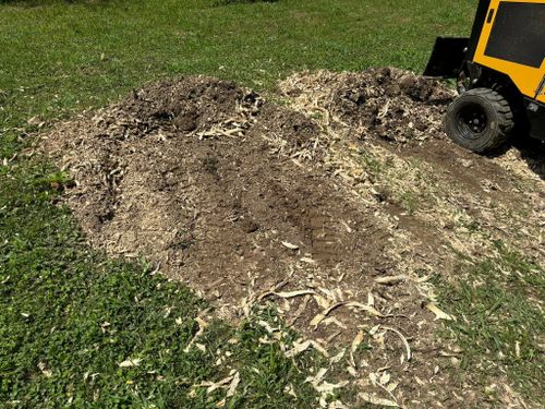 Stump Removal for Conrad's Stump Removal in Columbus, IN