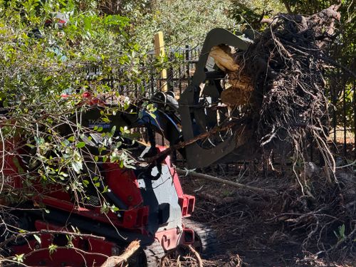 All Photos for New Creation Landscaping in Myrtle Beach, SC