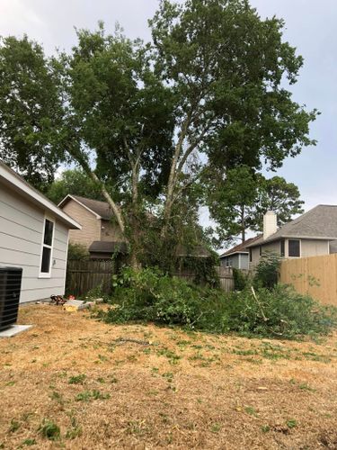 Demolition for Outlaw Landscaping & Transport Company in Houston, TX