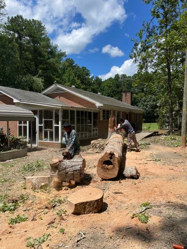 Tree Removal for Rosales Landscaping LLC in Lake Gaston, North Carolina