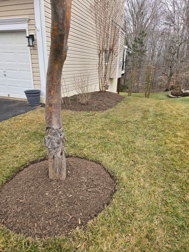 Mulch Installation for W D Giampa Lawns and Landscape Inc. in Manassas, VA